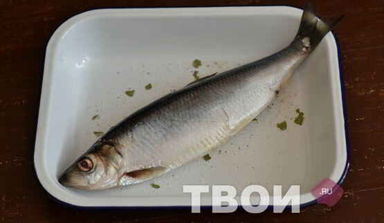 сельдь домашнего посола