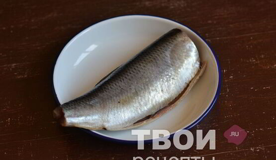 сельдь домашнего посола