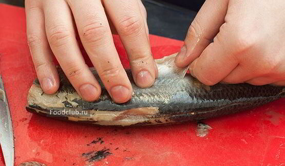 сельдь соленая