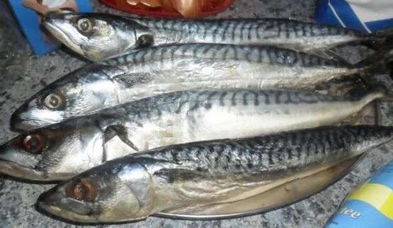 скумбрия домашнего посола
