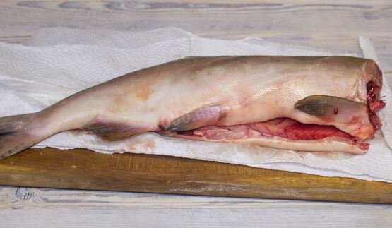 слабосоленая горбуша под семгу