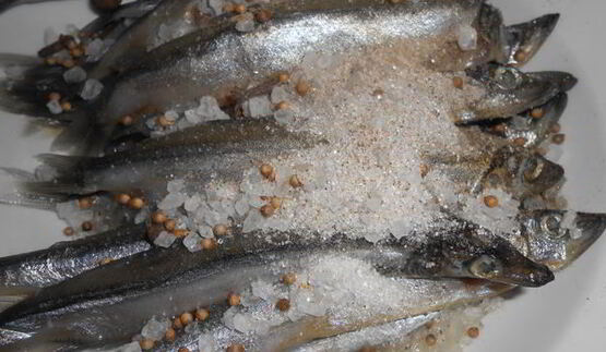 соленая мойва по-домашнему