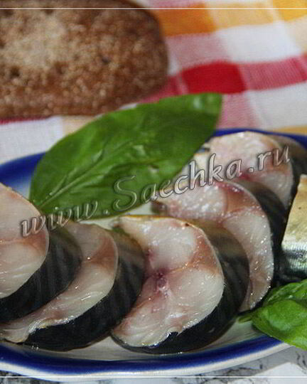 Рецепт соленой скумбрии