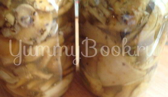 соленые грибы холодным способом