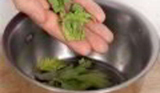 соленые помидоры черри