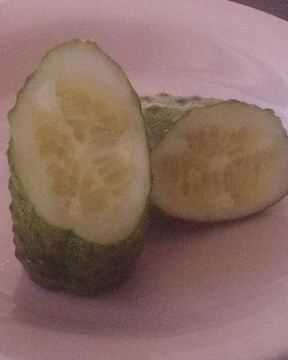 Срочные малосольные огурцы