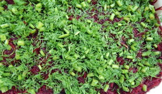 свекольный гравлакс — малосольный лосось