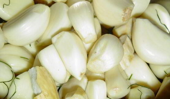 зеленые помидоры