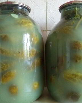 Соленые огурцы без уксуса на зиму