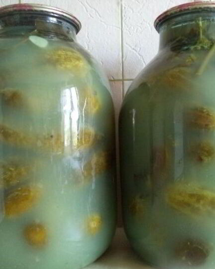 Рецепт соленых огурцов без уксуса на зиму