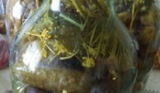 соленые огурцы без уксуса на зиму