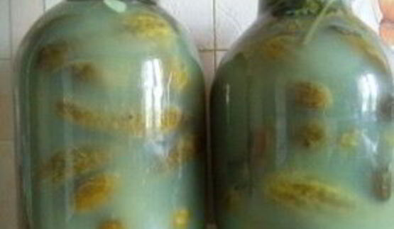 соленые огурцы без уксуса на зиму