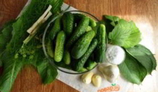 соленые огурцы на зиму в банках