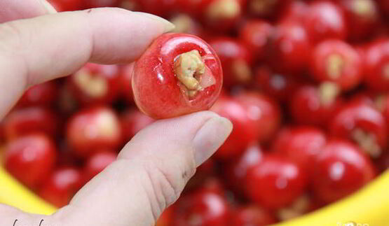 варенье из красно-желтой черешни с орехами