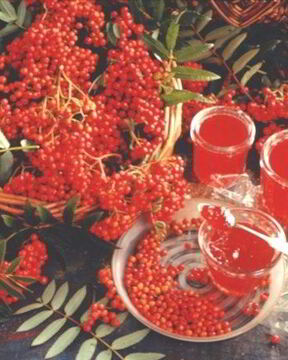 Варенье из рябины
