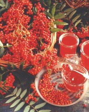 Варенье из рябины