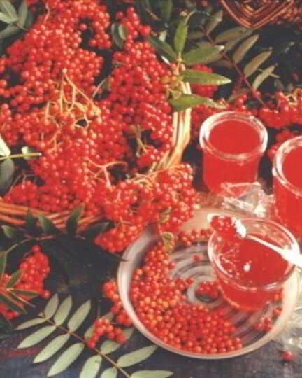 Рецепт варенья из рябины