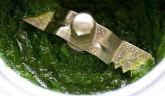 горячий бутерброд с чатни