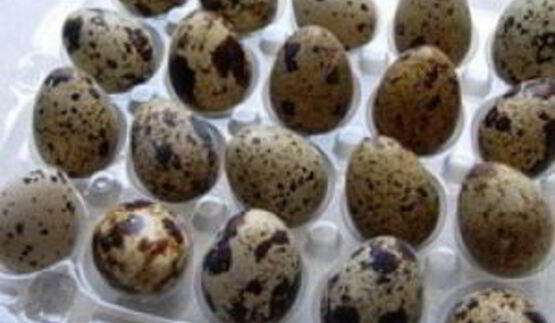 канапе из яиц на завтрак