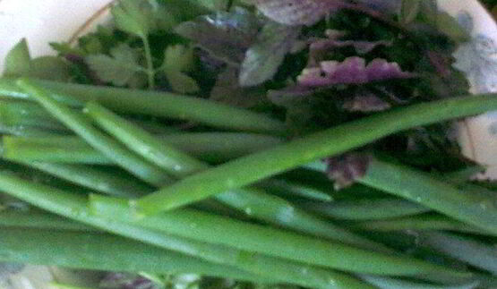 омлет витаминка