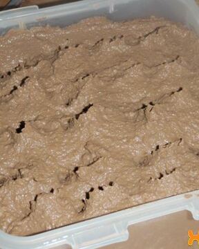 Паштет из говяжьей печени