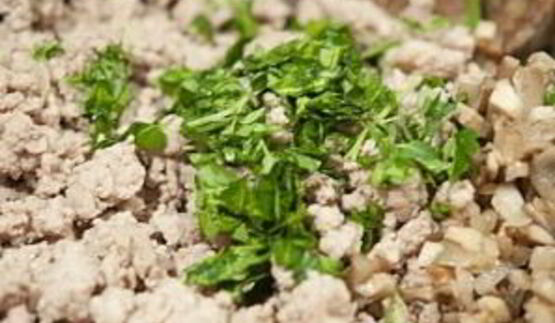 паштет из телятины и грибов в слоеном тесте