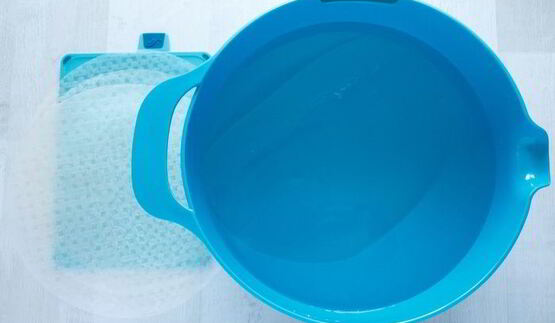 спринг-роллы с кальмарами и тунцом