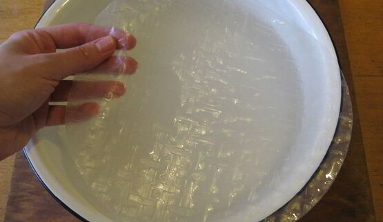 спринг-роллы с курицей, грибами и сливочным сыром