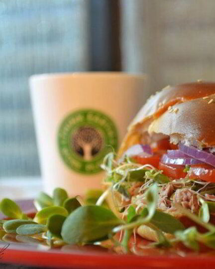 Рецепт сэндвича с тунцом