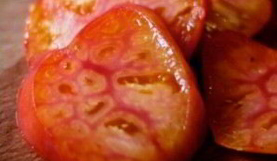 сэндвичи с помидорами