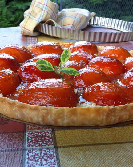 Рецепт тарта с абрикосами