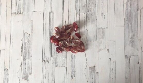 тартинки с виноградом