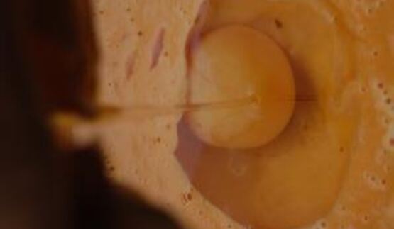 тыквенно-карамельный тарт