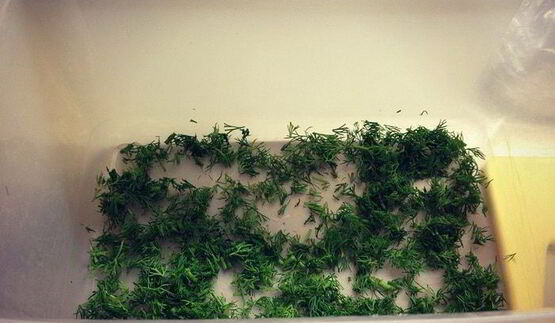 закуска демьянки из баклажанов