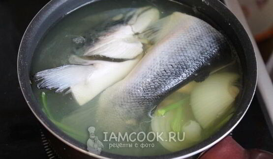 заливное из семги