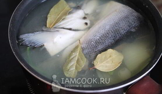 заливное из семги