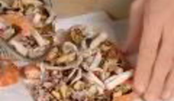 заливное морское дно