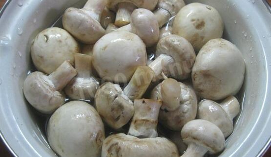 жульен парижский шик