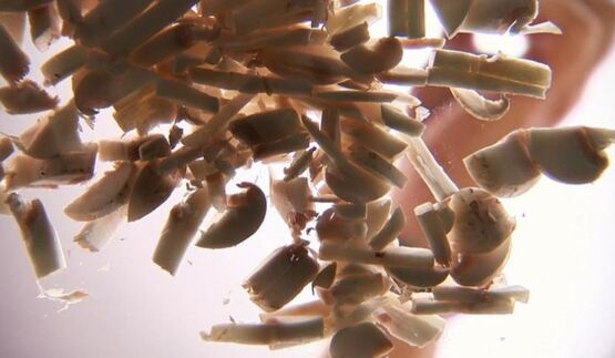 жюльен из грибов в волованах